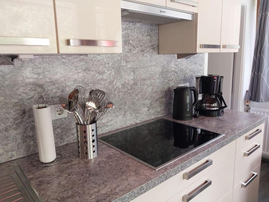 Ortner Am Kreischberg Apartment Sankt Lorenzen ob Murau